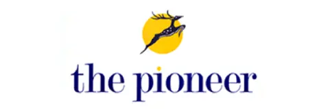 The pioneer image